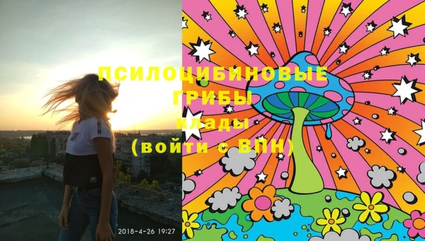 МДПВ Горняк