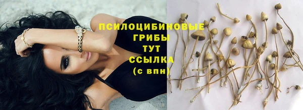 МДПВ Горняк