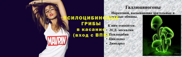 МДПВ Горняк
