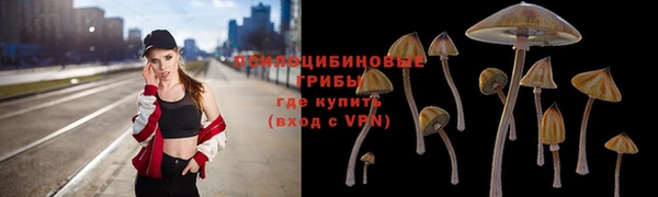 МДПВ Горняк