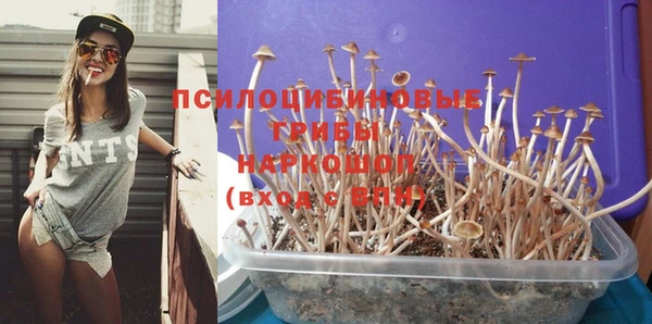 альфа пвп Горно-Алтайск