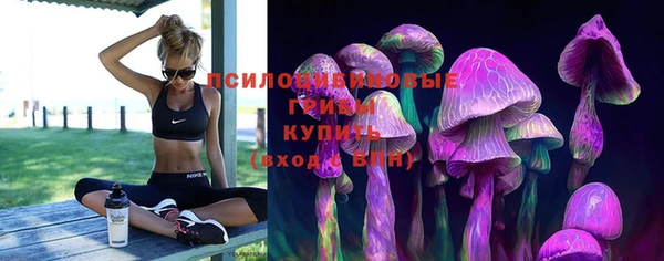 трава Горнозаводск