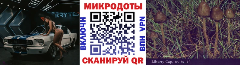 кракен ТОР  Питкяранта  Галлюциногенные грибы мухоморы 