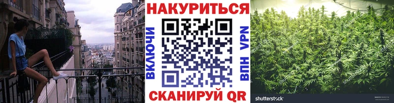 Каннабис план  Питкяранта 